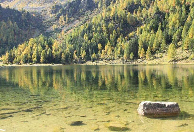 호텔 Frühstückspension Bachseitenhof