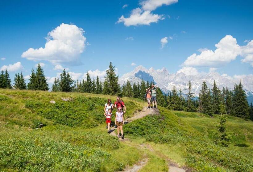 호텔 Frühstückspension Bachseitenhof