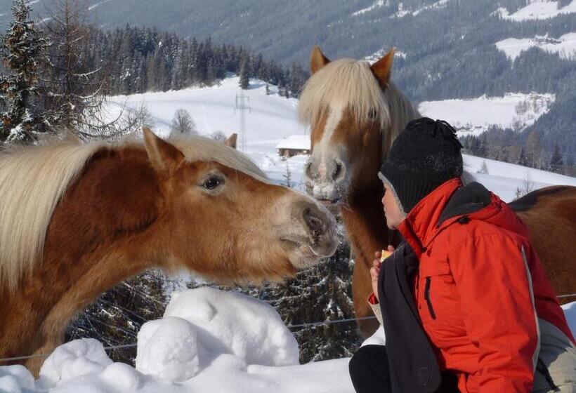 호텔 Frühstückspension Bachseitenhof