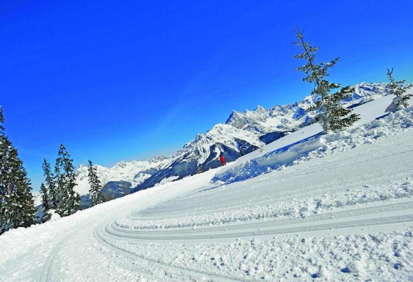 호텔 Frühstückspension Bachseitenhof