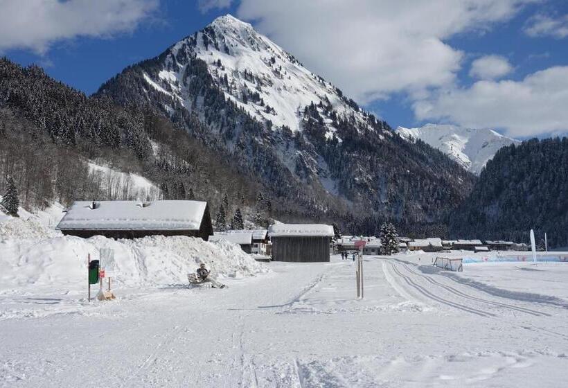 هتل Pension Haus Romy