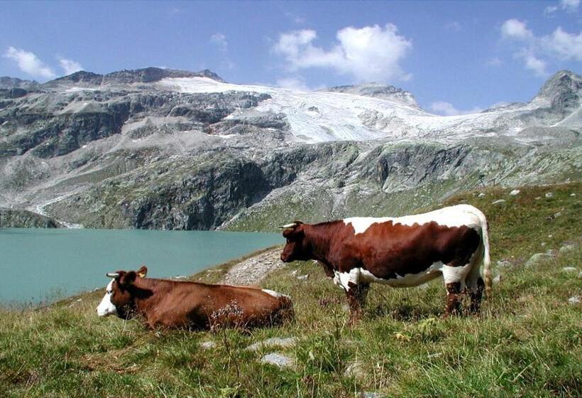 ホテル Pension Stubachblick