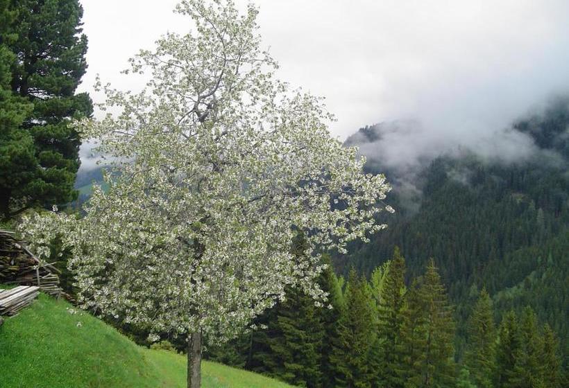 Отель Rasterhof