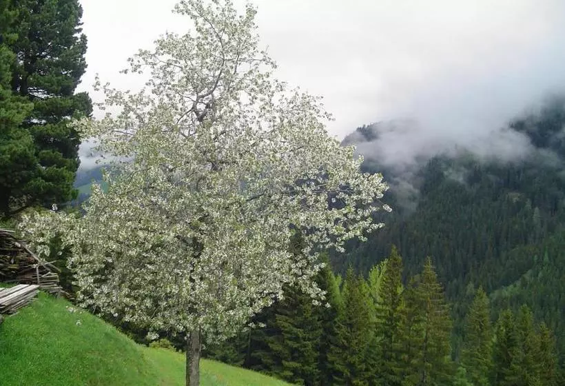هتل Rasterhof