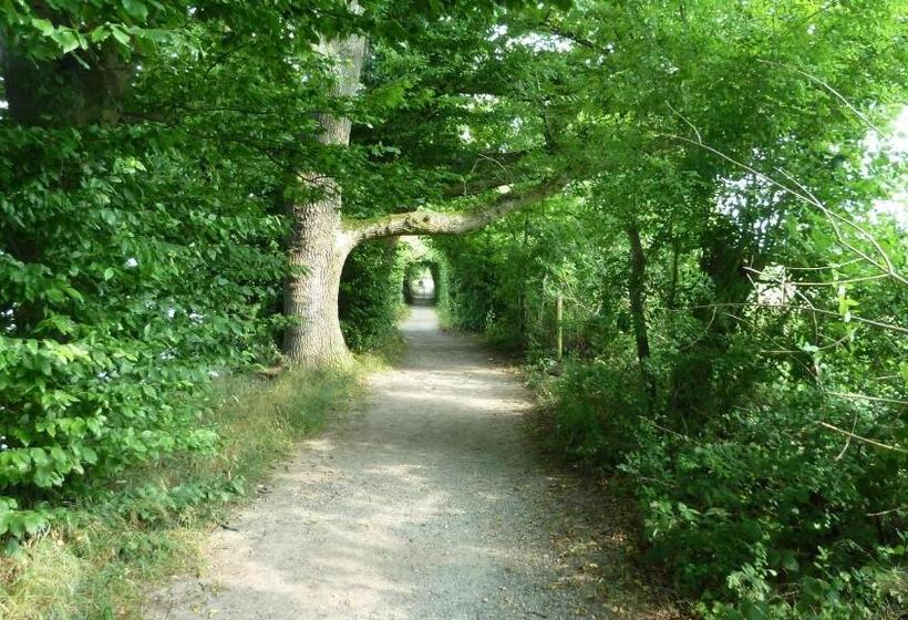 בית מלון כפרי Restaurant Sokrates