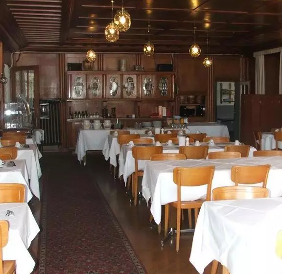 هتل Schweizerhof