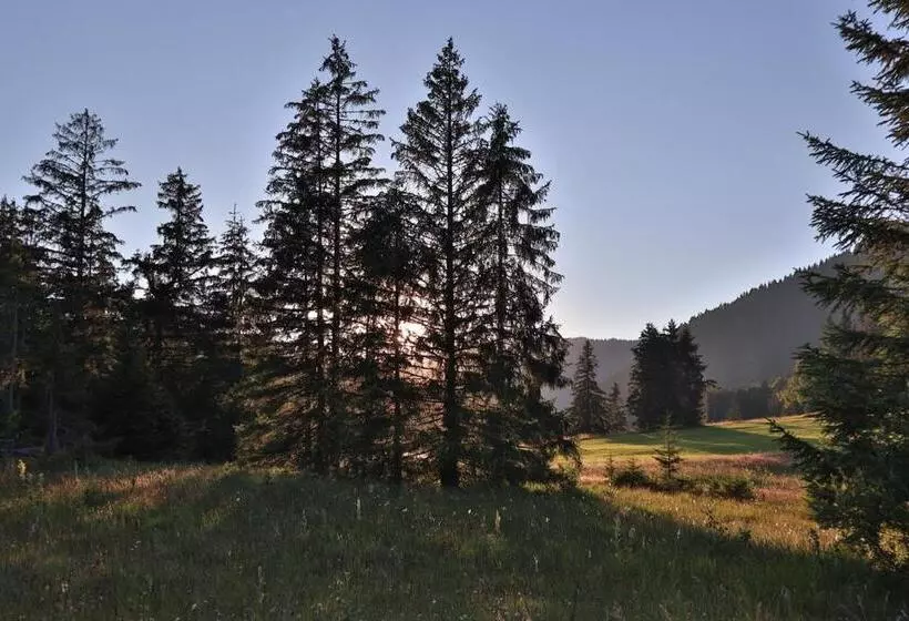 Ruhehotel & Naturresort Rehbach   Adults Only
