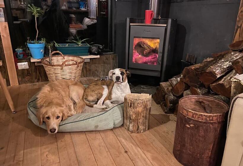 هتل La Colmena Eco Lodge