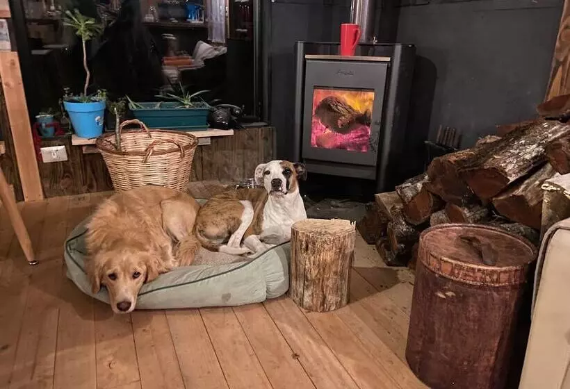 ホテル La Colmena Eco Lodge