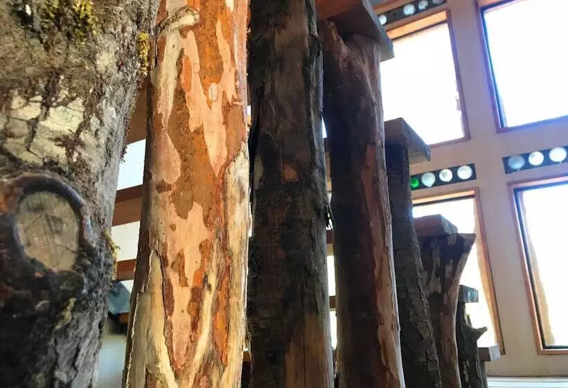 ホテル La Colmena Eco Lodge