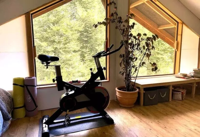 ホテル La Colmena Eco Lodge