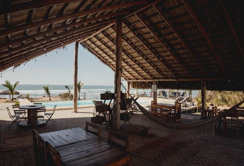 酒店 Toninas México