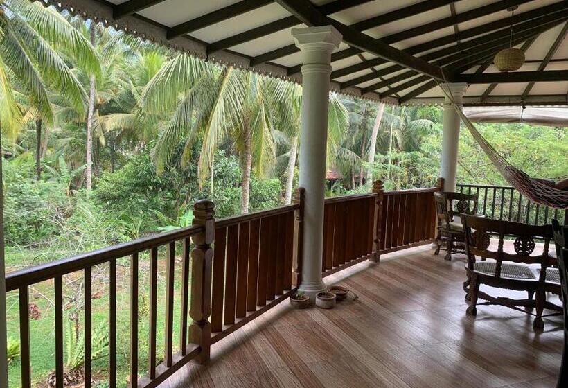 Pension The Escape With Jadeon