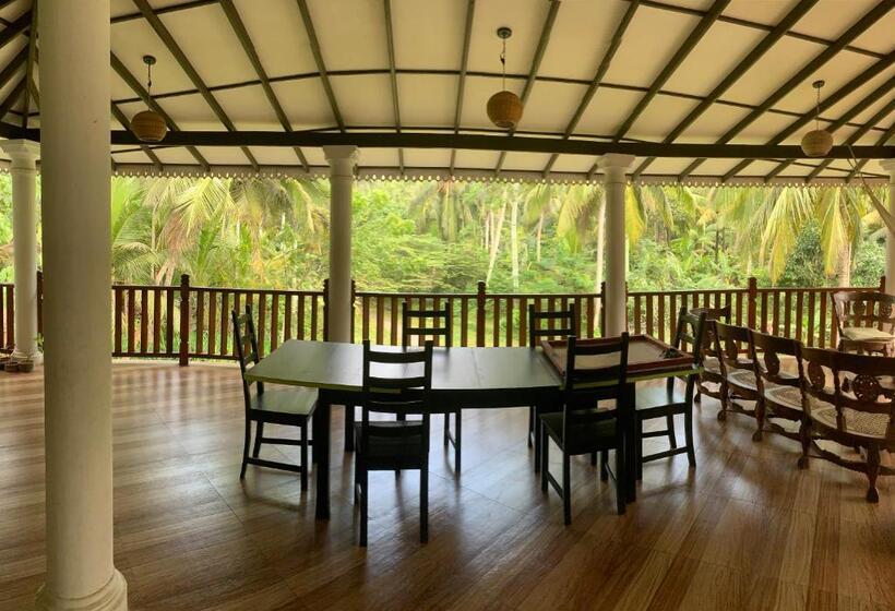 Pension The Escape With Jadeon