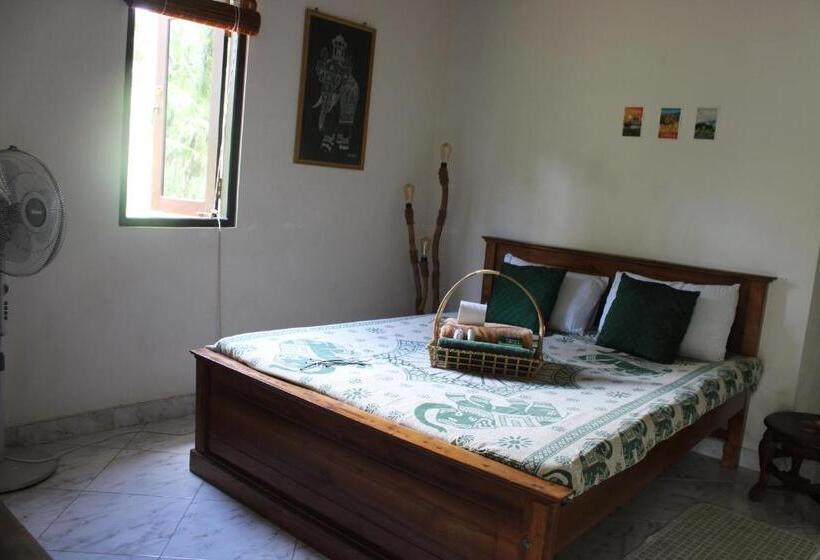 Pension The Escape With Jadeon