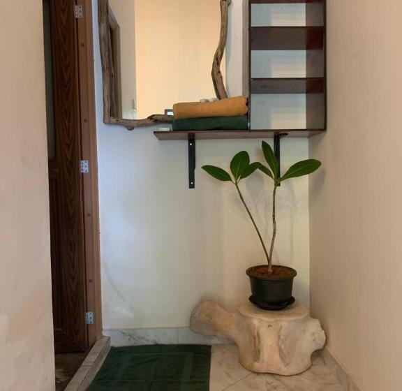 Pension The Escape With Jadeon