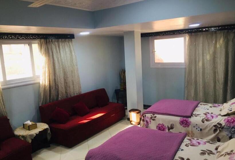 تختخواب و صبحانه Aswan Nile View