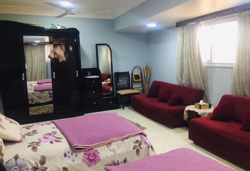 تختخواب و صبحانه Aswan Nile View