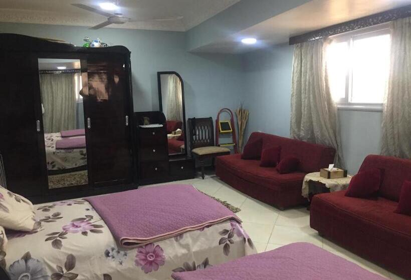 تختخواب و صبحانه Aswan Nile View