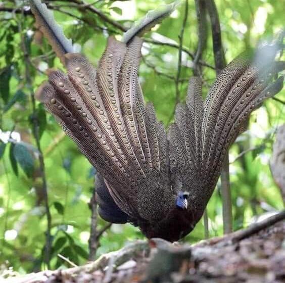 민박 Eco Trekking Lodge Bar & Tour S