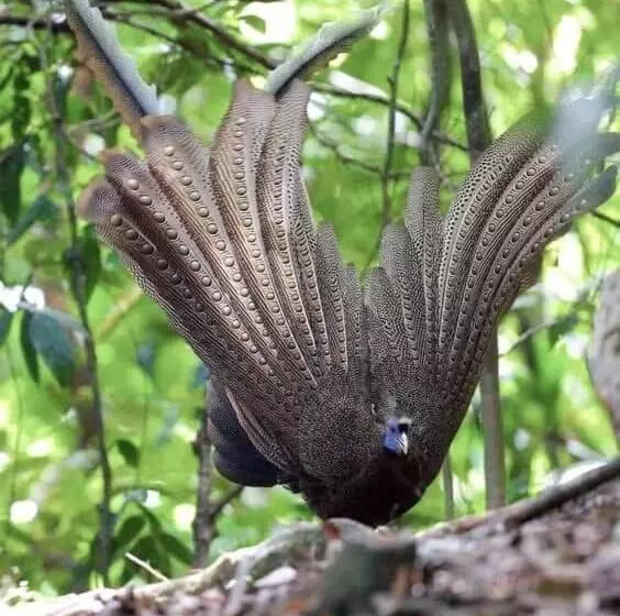 Aamiaismajoitus (B&B) Eco Trekking Lodge Bar & Tour S