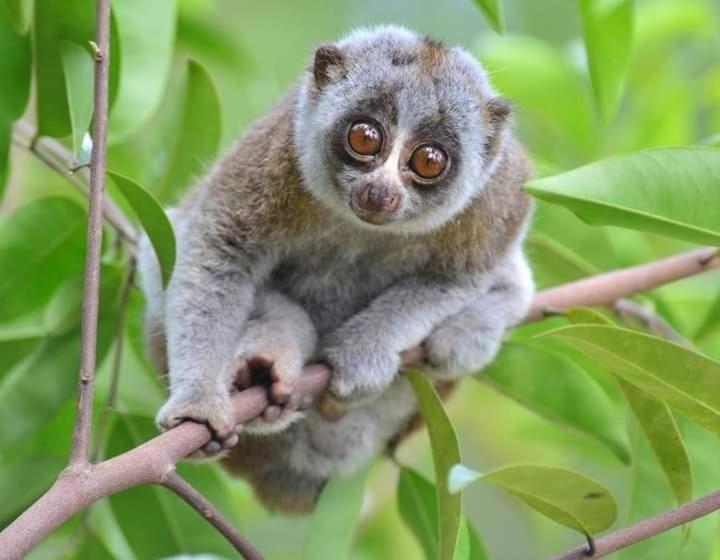 민박 Eco Trekking Lodge Bar & Tour S