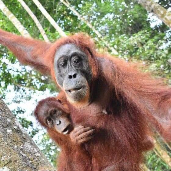 민박 Eco Trekking Lodge Bar & Tour S