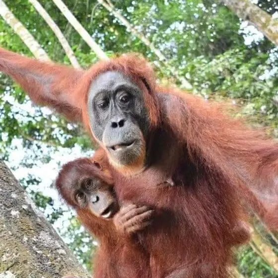 Aamiaismajoitus (B&B) Eco Trekking Lodge Bar & Tour S