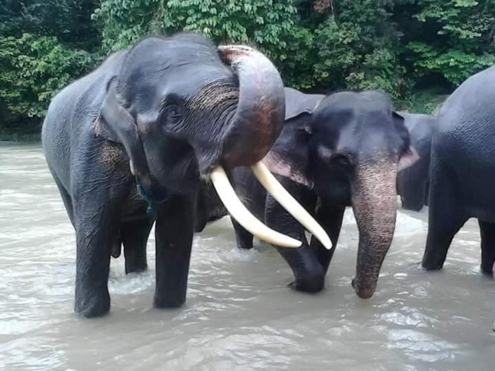 민박 Eco Trekking Lodge Bar & Tour S