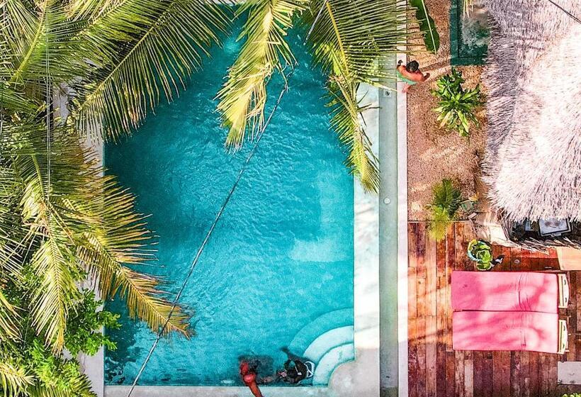 هتل Pili Pili Oasis