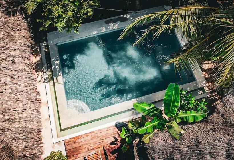 هتل Pili Pili Oasis