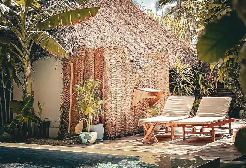 هتل Pili Pili Oasis