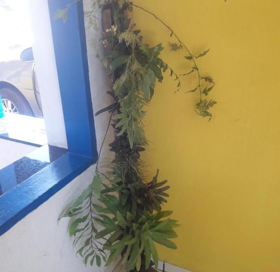 ホテル Pousada Ana Lua Paraty