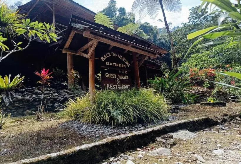 ペンション Back To Nature Ecotourism