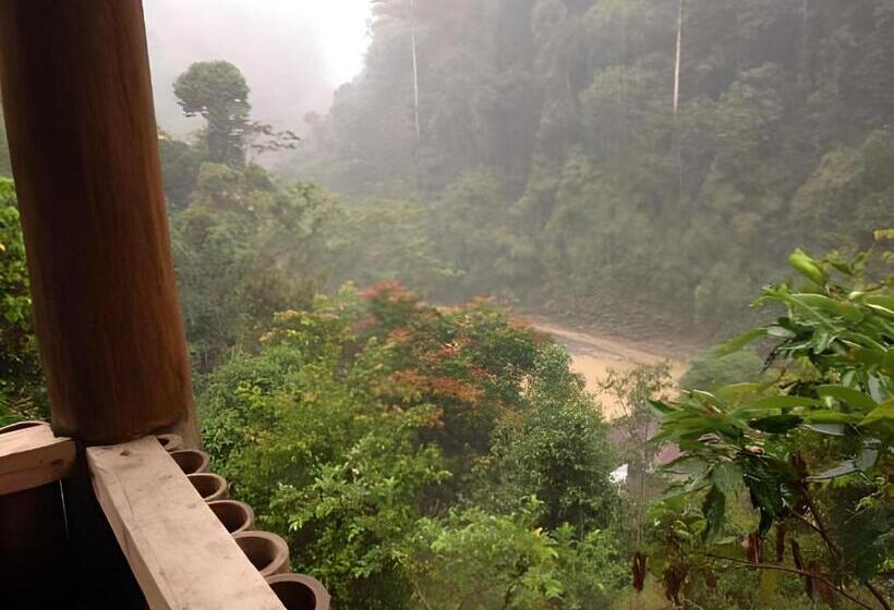 펜션 Back To Nature Ecotourism