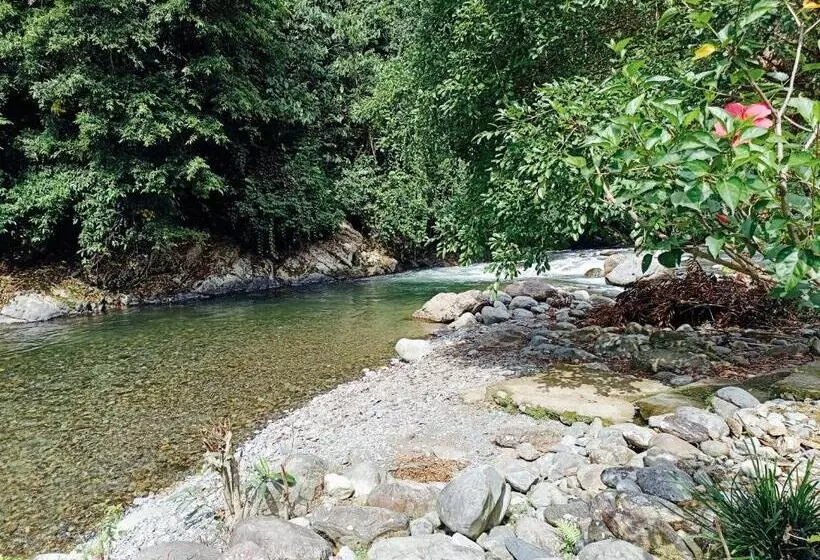ペンション Back To Nature Ecotourism