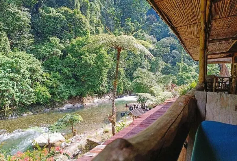 ペンション Back To Nature Ecotourism