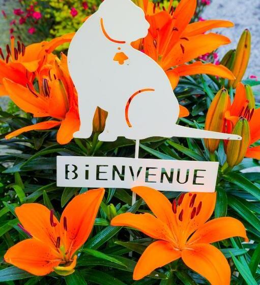 פנסיון The Annex