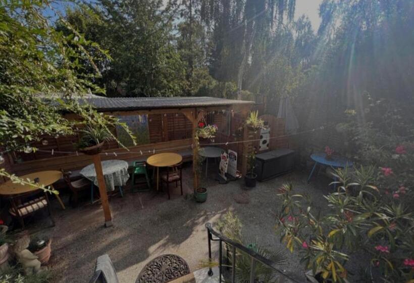 פנסיון Ash Rooms