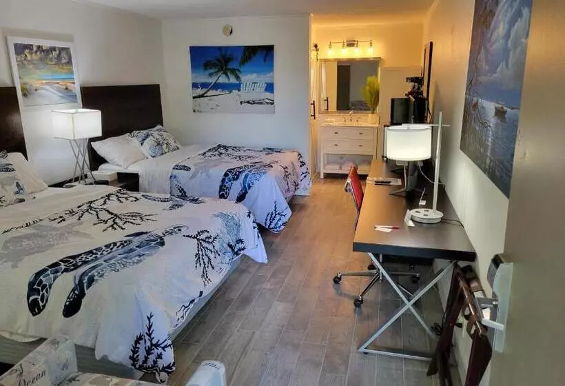 Slice Of Sarasota S Paradise Sarasota Bayfront