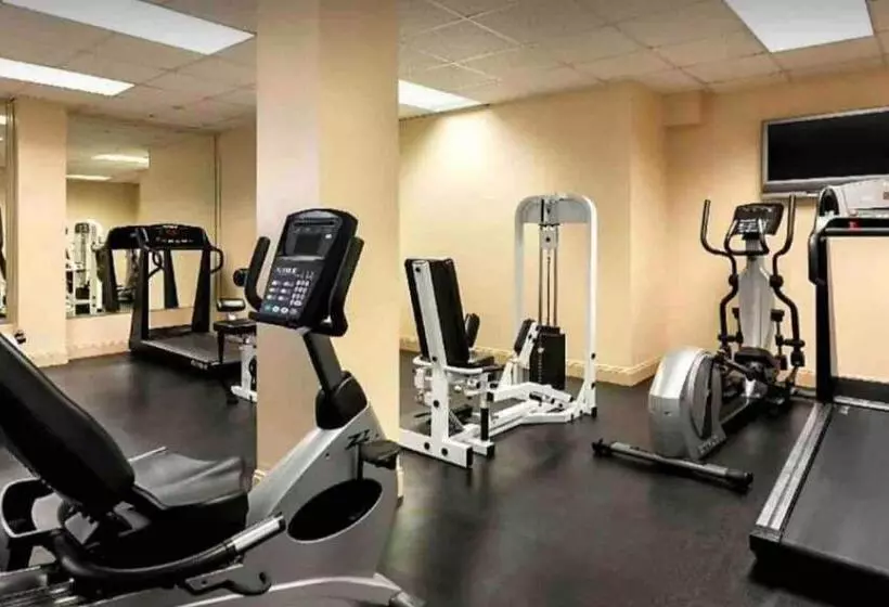 Slice Of Sarasota S Paradise Sarasota Bayfront