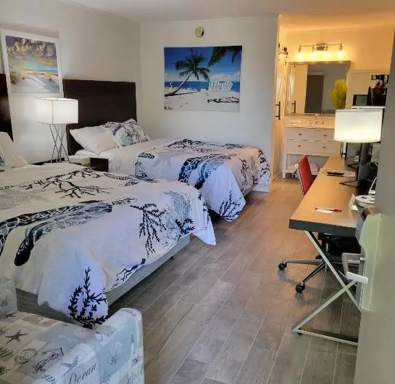 Slice Of Sarasota S Paradise Sarasota Bayfront