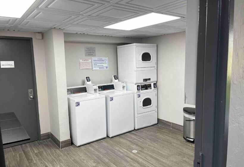 Slice Of Sarasota S Paradise Sarasota Bayfront