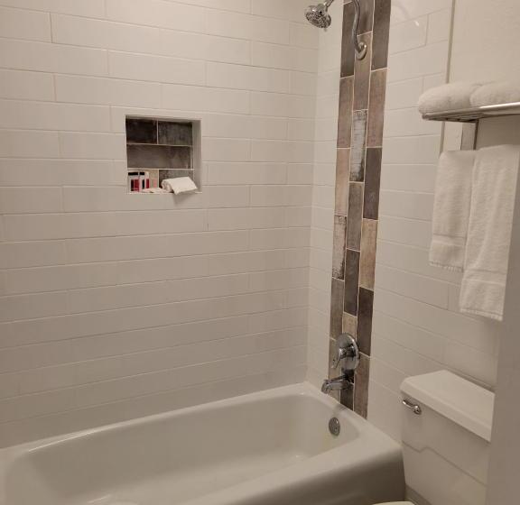 Slice Of Sarasota S Paradise Sarasota Bayfront