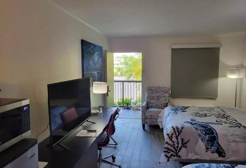 Slice Of Sarasota S Paradise Sarasota Bayfront