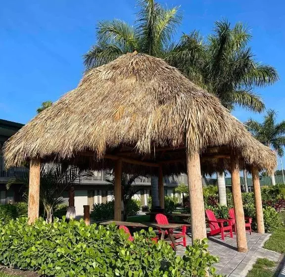 Slice Of Sarasota S Paradise Sarasota Bayfront