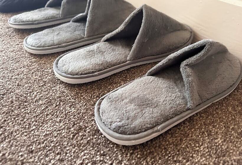 مبيت وإفطار Reemdale