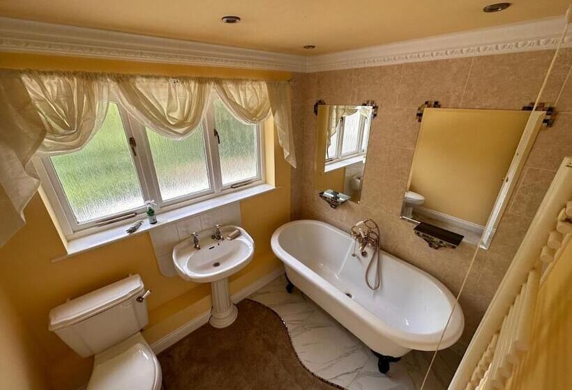 مبيت وإفطار Reemdale