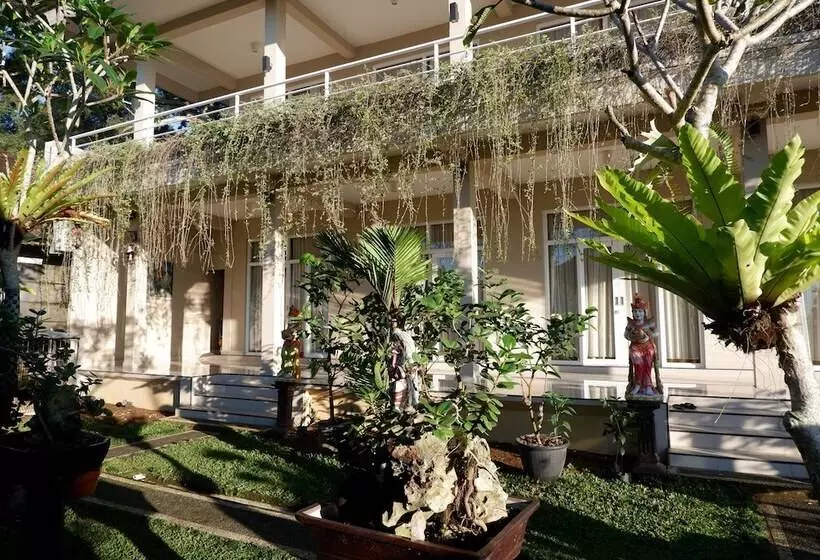 Gunza Bed And Breakfast