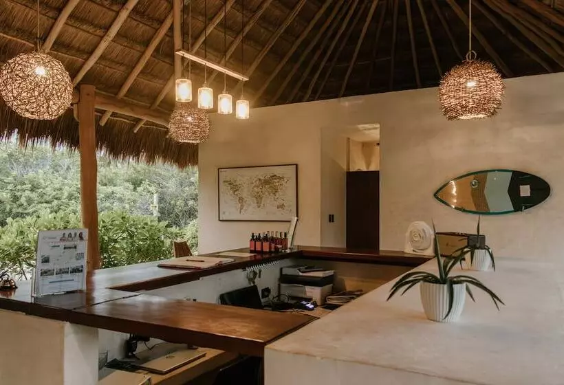 ホテル Casa Ku   Adults Only